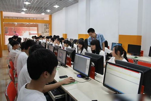 大专电子商务专业是什么